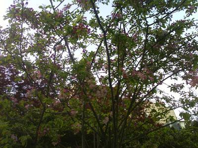 あ!2日upしていませんが、生きてます!!!