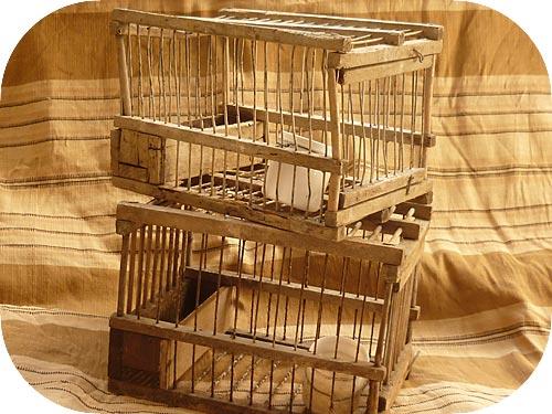 大変です!ねーさん!!パート2