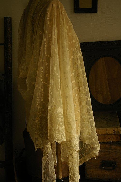 今日もヒョウが降りました