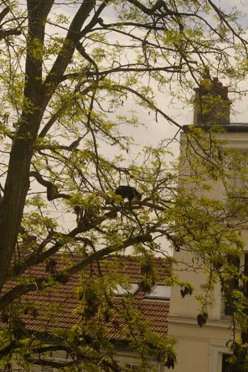 カメラ忘れました。。案の定。ブリュクセル