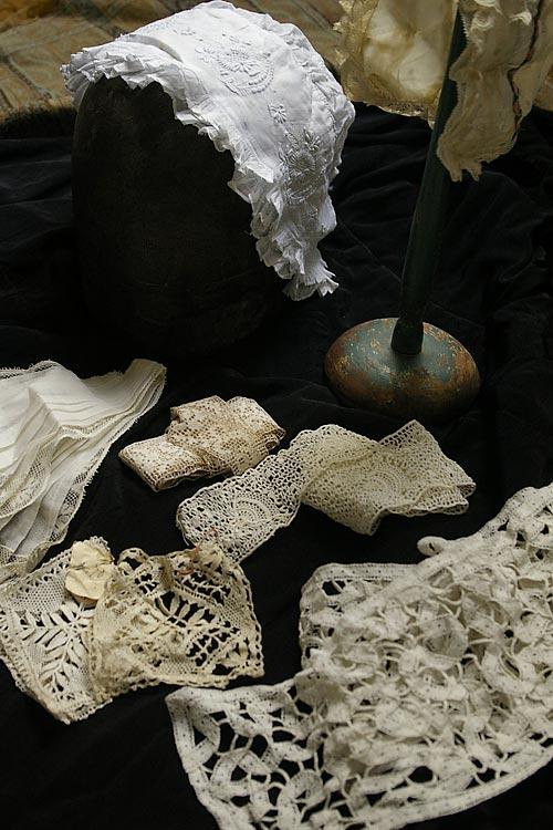 ファーブル昆虫記