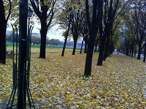 up前に、ツブヤクダー!