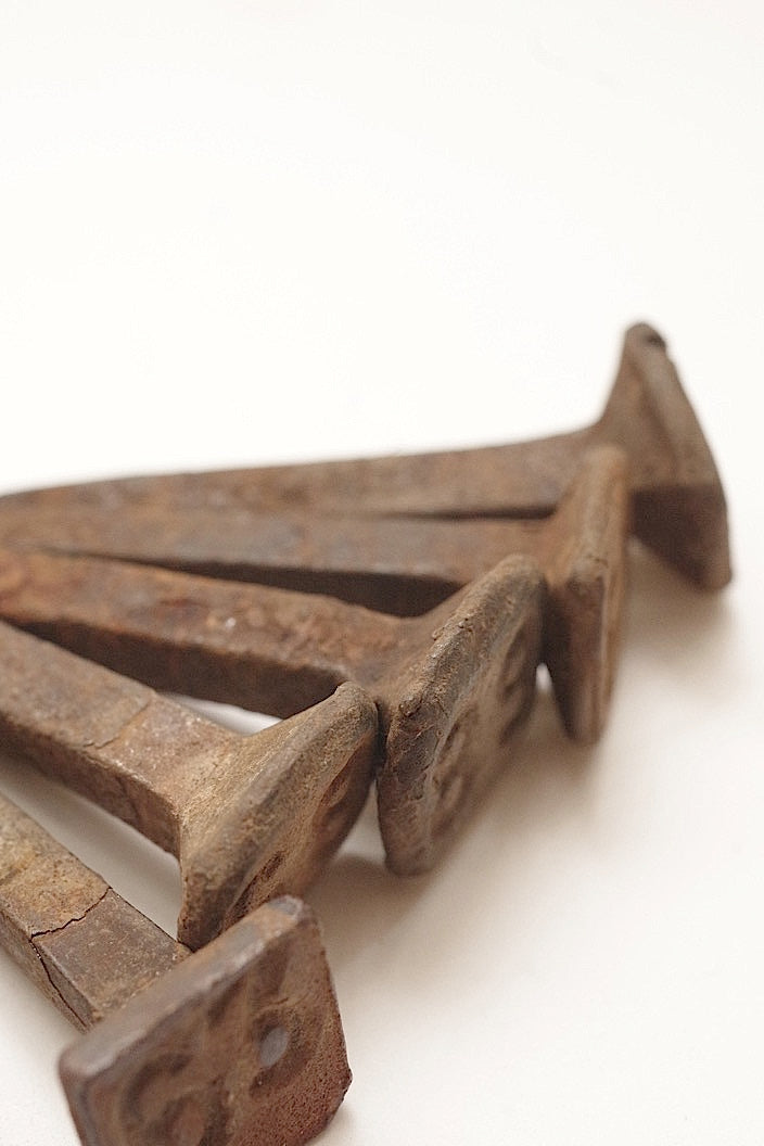 clous antique アンティーク 釘 線路用 6本 .FR a l'epoque