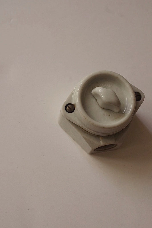 commutateur antique アンティークスイッチ Switch 1 .FR a l'epoque