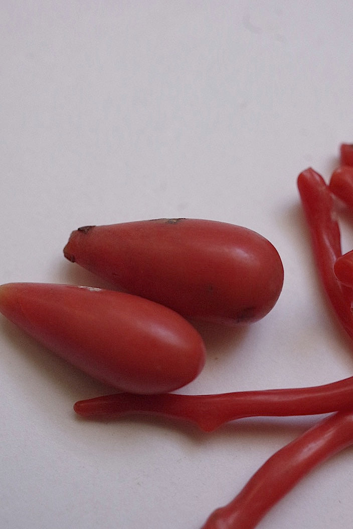 les pièces antique アンティーク corail .FR a l'epoque