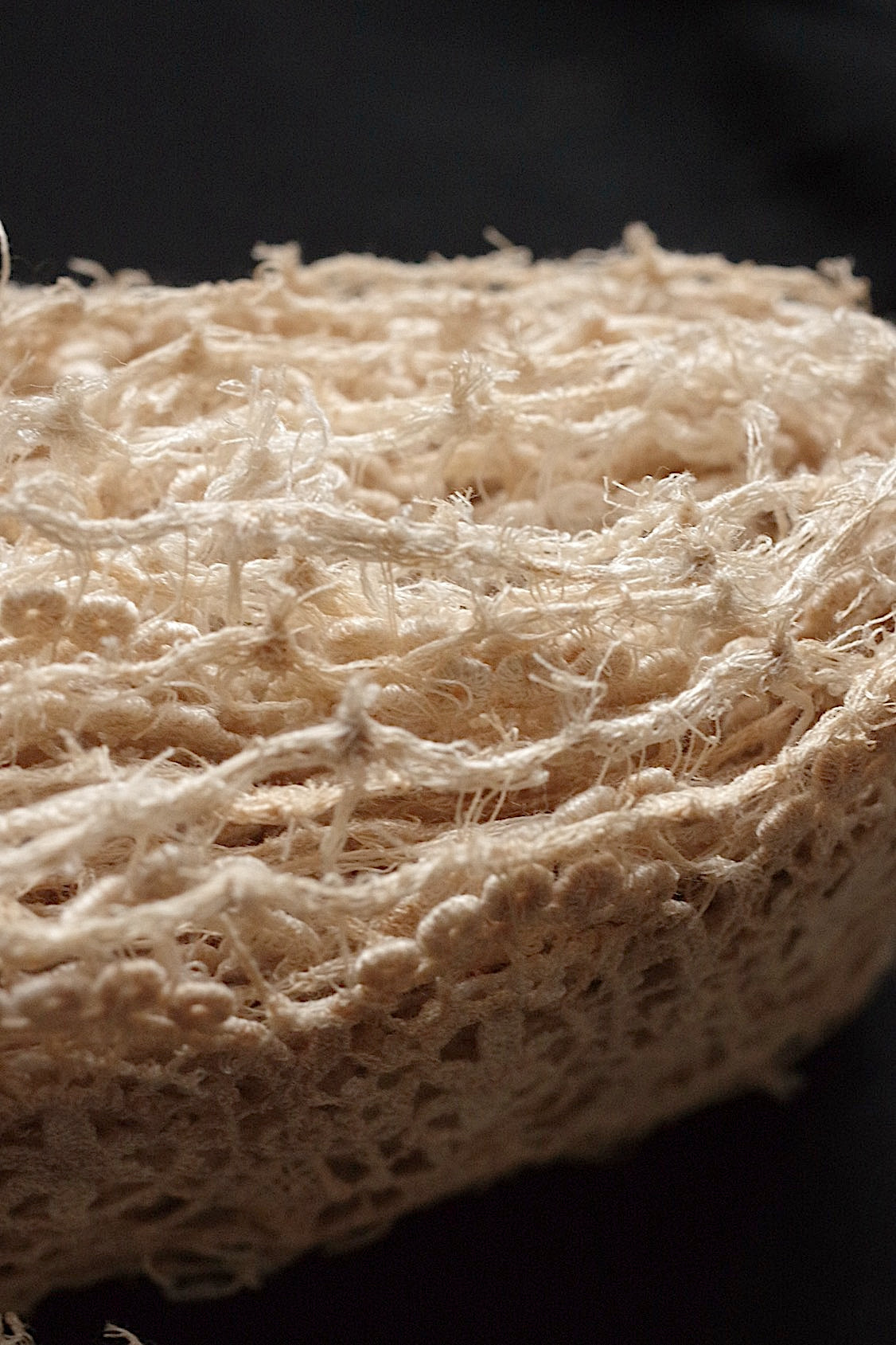 アンティークレース dentelle  antique アンティークレース 464cm .FR a l'epoque