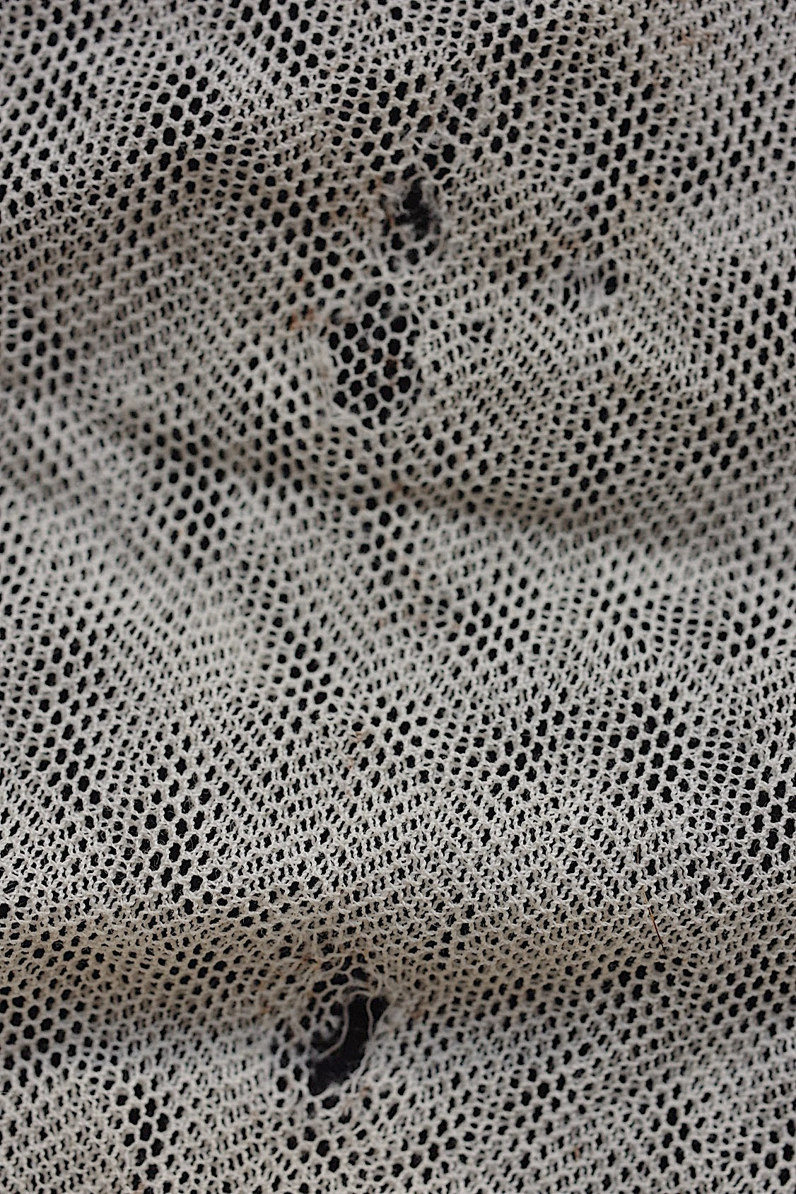 アンティークレース dentelle antique アンティークレース はぎれセット 素材に .FR a l'epoque