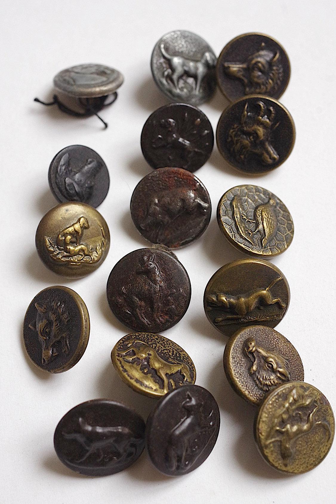 ハンターボタン