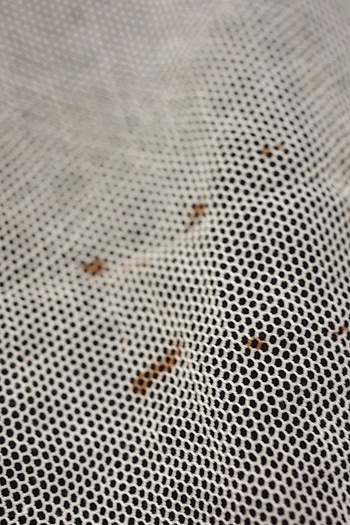 アンティークレース dentelle antique  素材用 ベール .FR a l'epoque