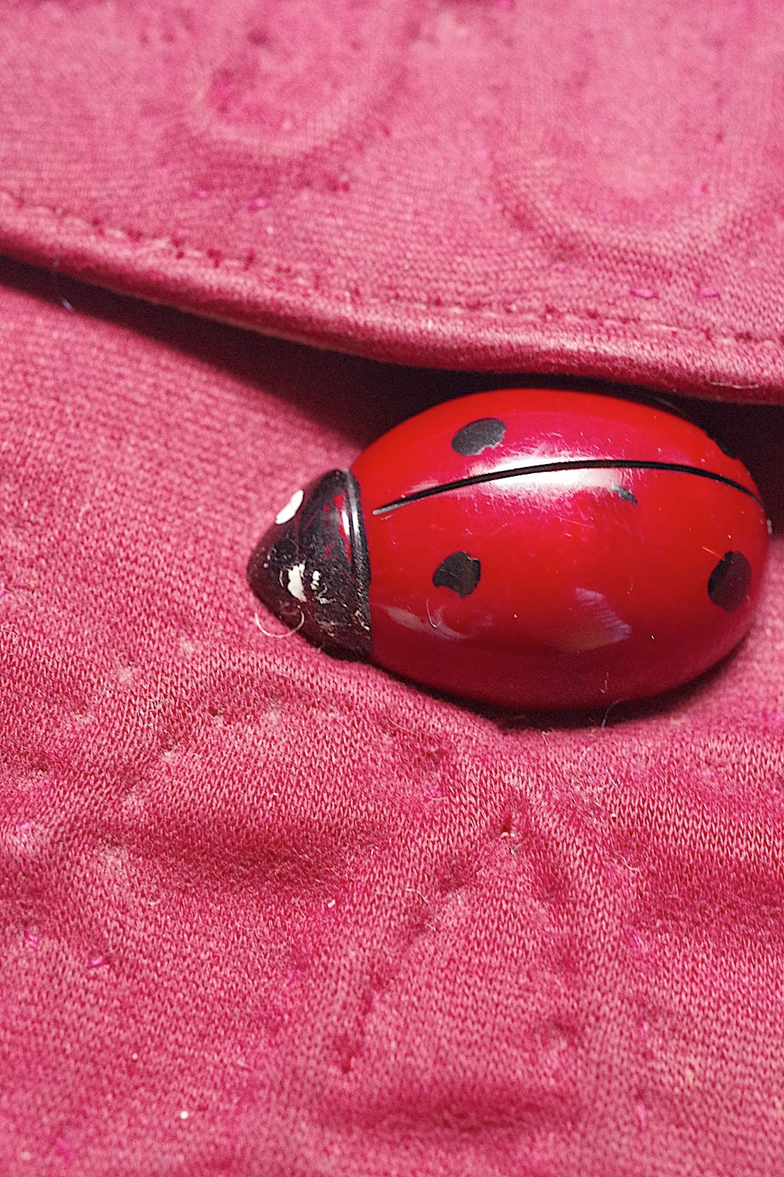 アンティークパース antique purse  てんとう虫 .FR a l'epoque