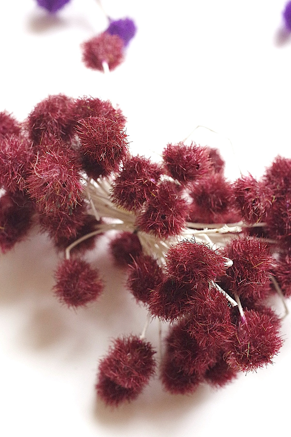 アンティークコサージュ束 fleur  antique   .FR a l'epoque