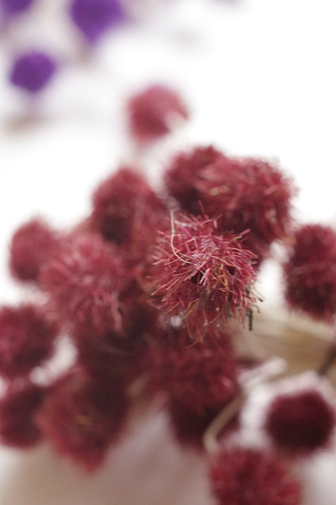 アンティークコサージュ束 fleur  antique   .FR a l'epoque