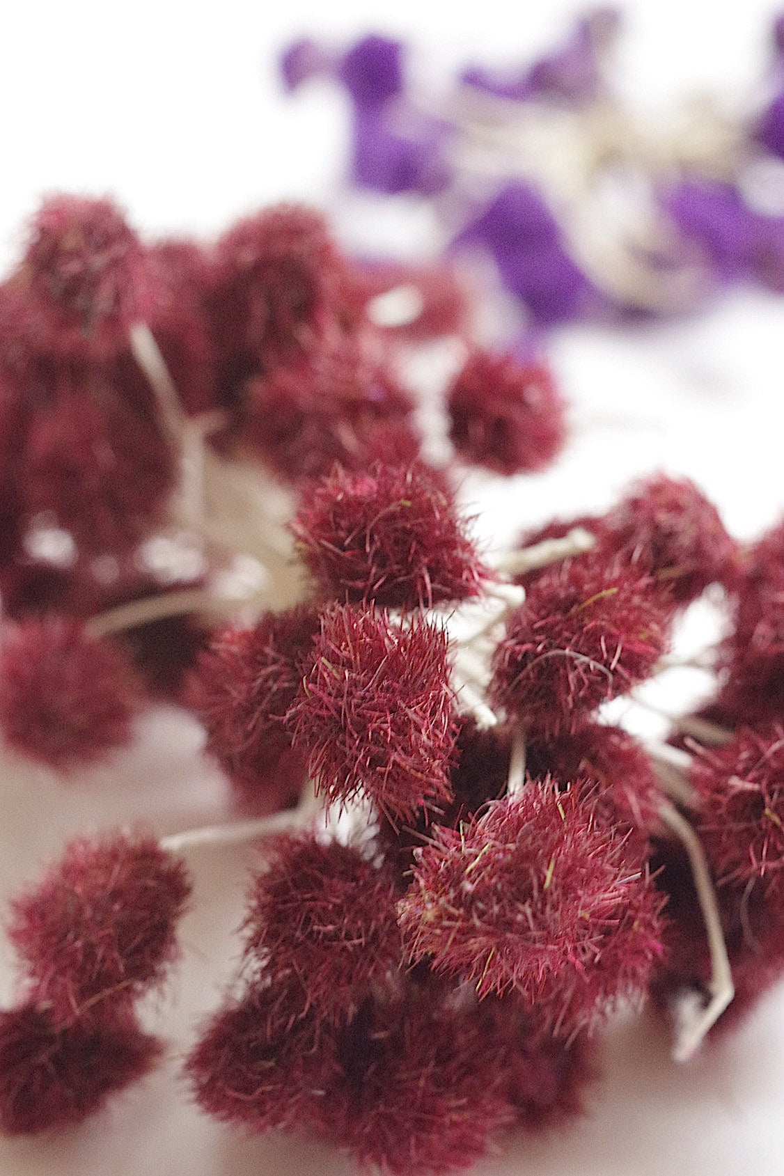 アンティークコサージュ束 fleur  antique   .FR a l'epoque