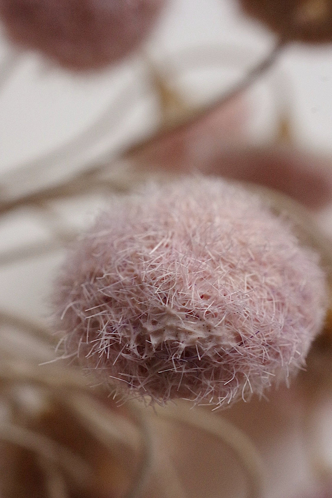 アンティークコサージュ束 fleur  antique   .FR a l'epoque