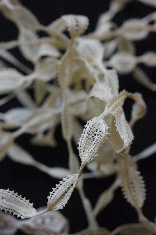 アンティークレース dentelle ancienne レーステープ ポコポコ 2種 .FR a l'epoque