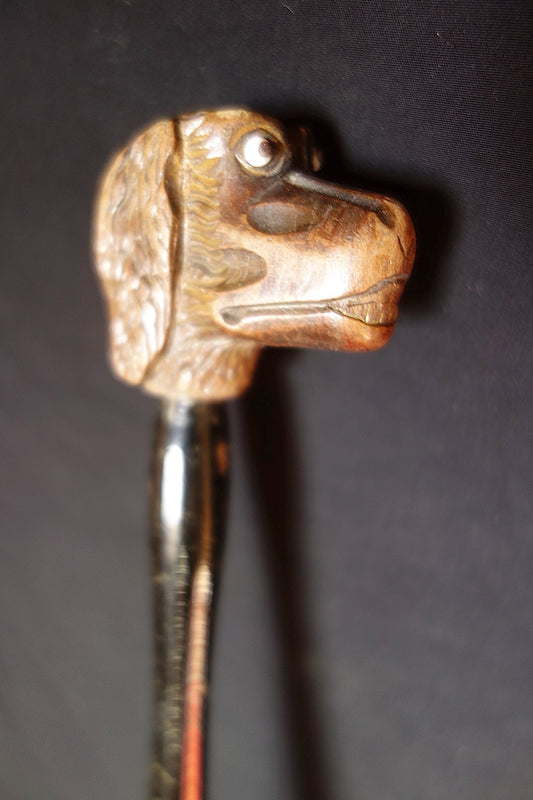 ヴィンテージ傘 わんこ