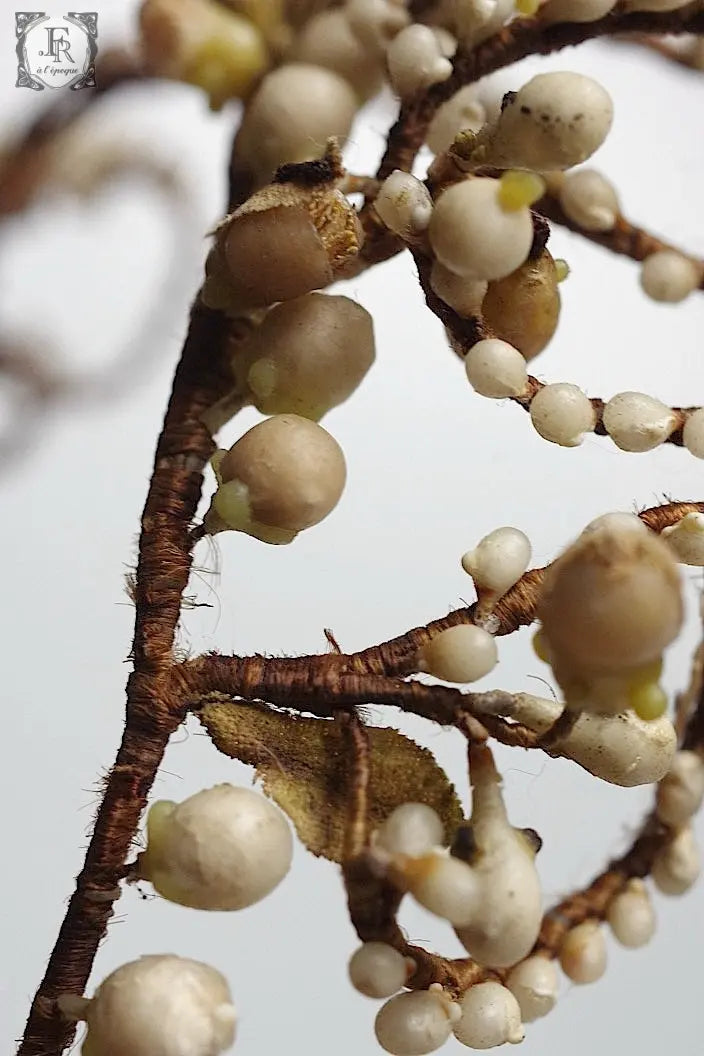 アンティークティアラ antique COURONNE DE MARIEE .FR a l'epoque