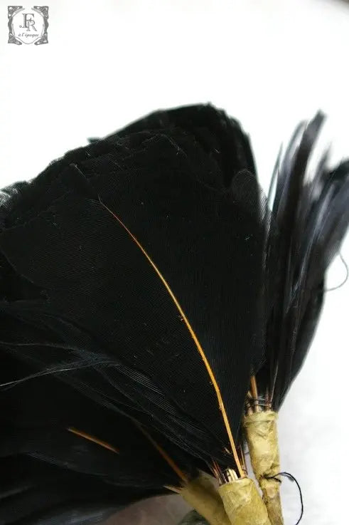 corsage ヴィンテージ コサージュ クロ 羽 .FR A Ll'EPOQUE