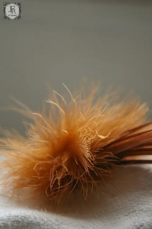 corsage アンティーク 飾り羽 .FR A Ll'EPOQUE