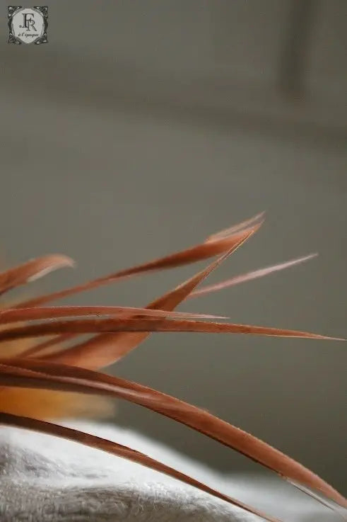 corsage アンティーク 飾り羽 .FR A Ll'EPOQUE