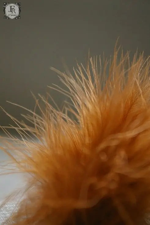 corsage アンティーク 飾り羽 .FR A Ll'EPOQUE