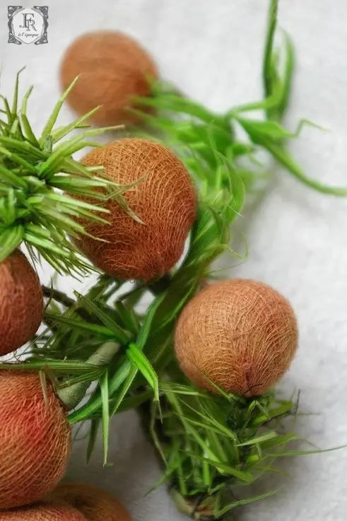 corsage ヴィンテージ コサージュ  実 赤オレンジ .FR A Ll'EPOQUE