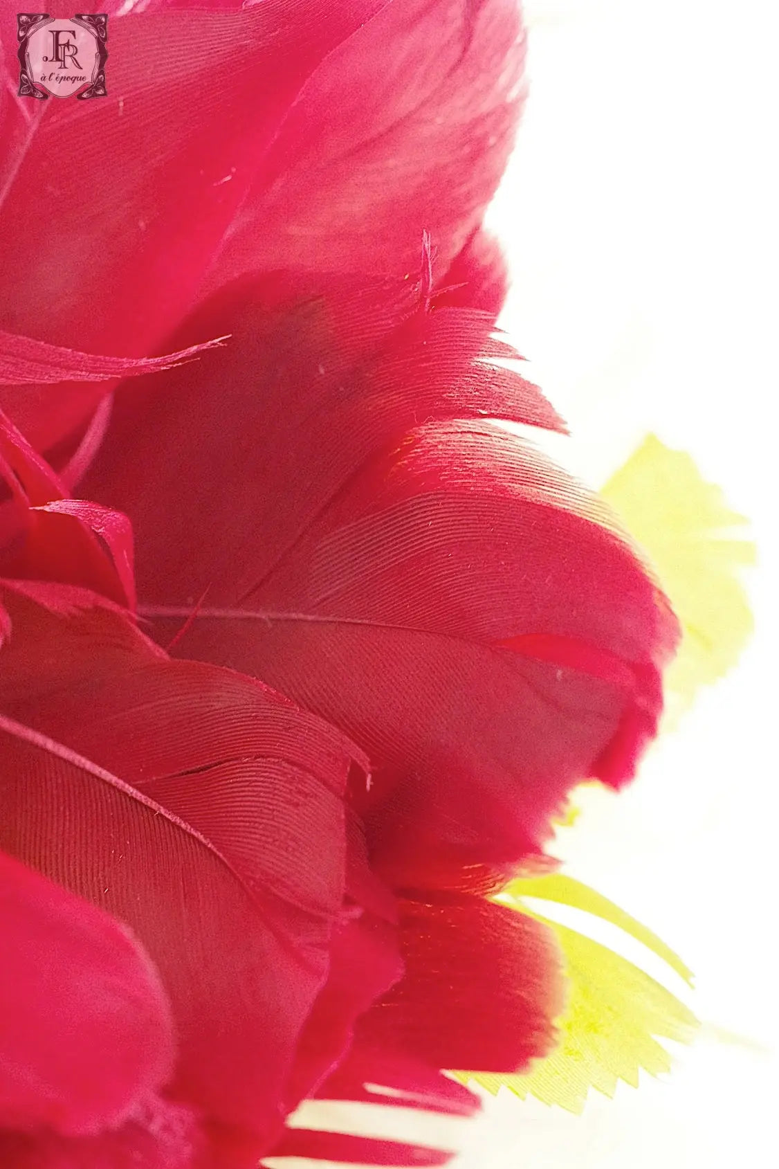 アンティークヘアバンド décoration florale antique 花 .FR a l'epoque