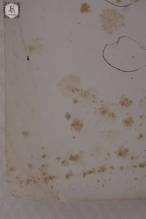 document  アンティーク 印刷物 貝 2 .FR A Ll'EPOQUE