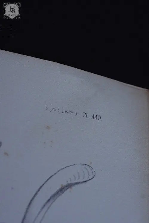 gravure アンティーク  版画 4 .FR A Ll'EPOQUE