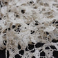dentelle antique アンティークレース　2種