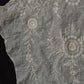 dentelle antique antique lace embroidery lot