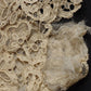 dentelle antique　アンティークレース　ヴニーズ　はぎれ