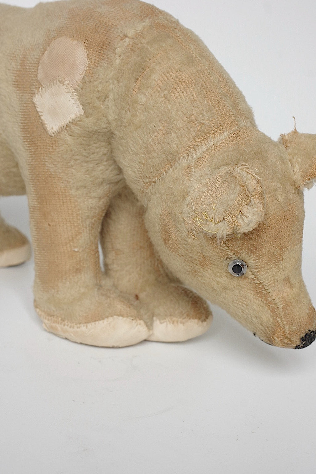 アンティーク雑貨　peluche antique アンティークシロクマ .FR a l'epoque