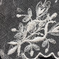 アンティークレース　dentelle antique アンティークレース 刺繍　襟lot