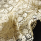 アンティークレース　antique dentelle リールポイント　素材用 .FR a l'epoque