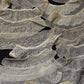 アンティークレース　dentelle ancinne　プリーツレース　17本 .FR a l'epoque