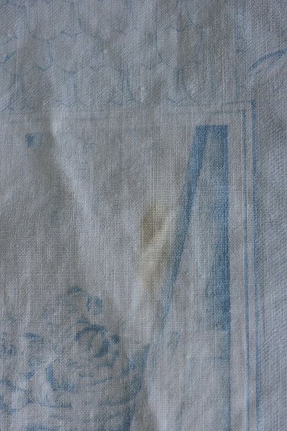 アンティーク生地　tissu antique トワルドゥジュイ .FR a l'epoque