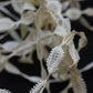 アンティークレース　dentelle ancienne レーステープ　ポコポコ　２種 .FR a l'epoque
