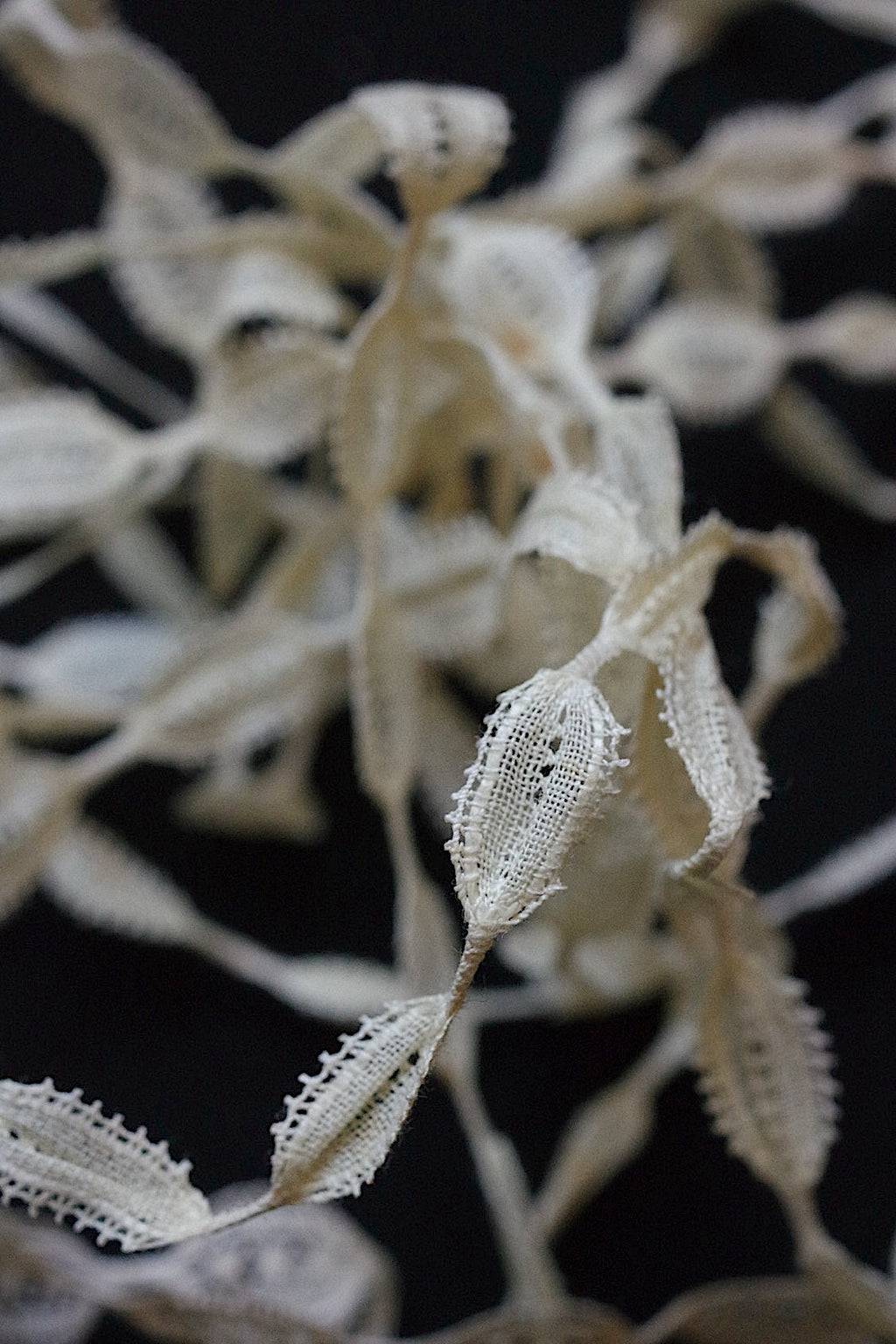 アンティークレース　dentelle ancienne レーステープ　ポコポコ　２種 .FR a l'epoque