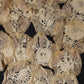 アンティークレース　dentelle ancienne モチーフ14pieces .FR a l'epoque