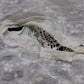 アンティークレース　dentelle ancienne-antique lace 刺繍カバー　素材 .FR a l'epoque