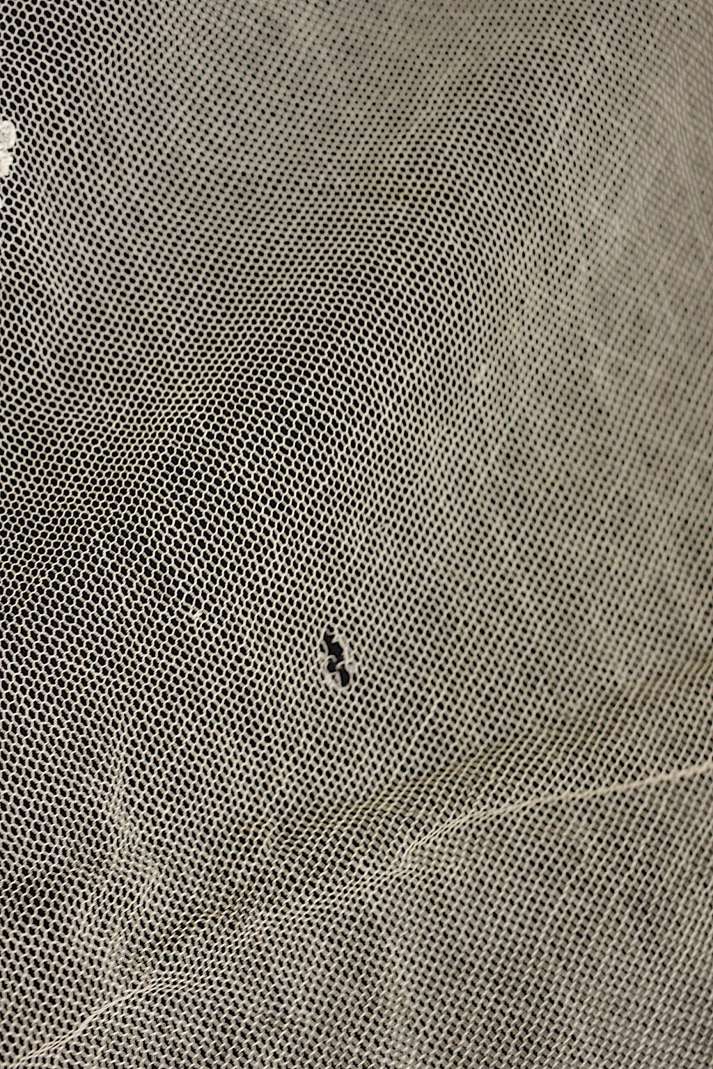 アンティークレース　dentelle ancienne ショール1 .FR a l'epoque