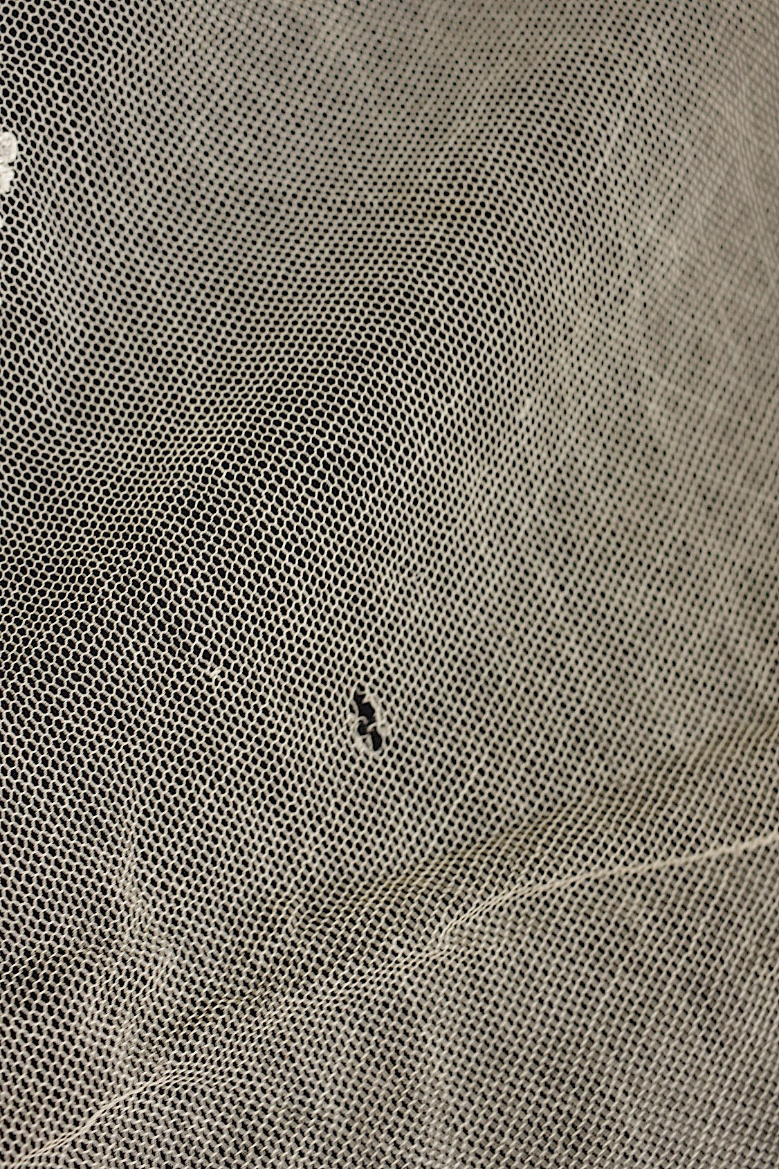 アンティークレース　dentelle ancienne ショール1 .FR a l'epoque