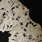 アンティークレース　dentelle ancienne つけ襟2 .FR a l'epoque