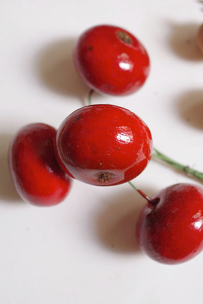 ヴィンテージ雑貨　Bouquet de fleurs　vintage実のコサージュ　lot .FR a l'epoque