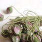 ヴィンテージ雑貨　Bouquet de fleurs　vintage実のコサージュ　lot .FR a l'epoque