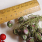 ヴィンテージ雑貨　Bouquet de fleurs　vintage実のコサージュ　lot .FR a l'epoque