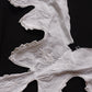 アンティークレース　dentelle ancienne 刺繍テープ　回収品 .FR a l'epoque