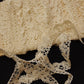 アンティークレース　dentelle ancienne　ボビンレース790cm .FR a l'epoque