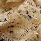 アンティークレース　dentelle ancienne　ボビンレース .FR a l'epoque